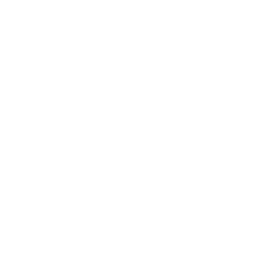 INCISIVE STAKEHOLDER AUDITING